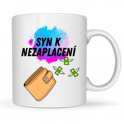 syn k nezaplacení