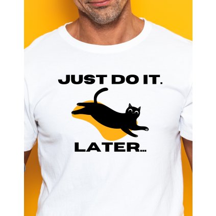 Pánské tričko - Just do it later