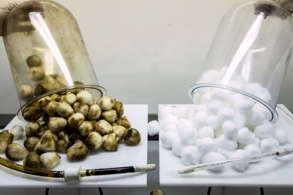 Rozdil Mezi E Cigaretami A Klasickymi Cigaretami Fajncigarety