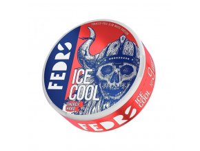 FEDRS - nikotinové sáčky - ICE Cool Energy - Hard - 65mg /g, produktový obrázek.