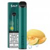 salt switch disposable pod kit melon ice