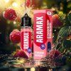 Příchuť Aramax S&V: Raspberry Strawberry (Malina a jahoda) objem 10ml kolek U