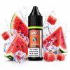 Nasty BURST Salt Watermelon 10ml 20mg