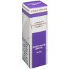 Liquid Ecoliquid Blueberry 10ml - 0mg (Borůvka)