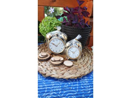 371536113 156092410865170 2695476706413405722 n