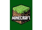 Minecraft - Game party