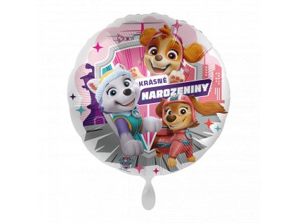 0025485 foliovy balonek krasne narozeniny tlapkova patrola sky a everest cz 43 cm