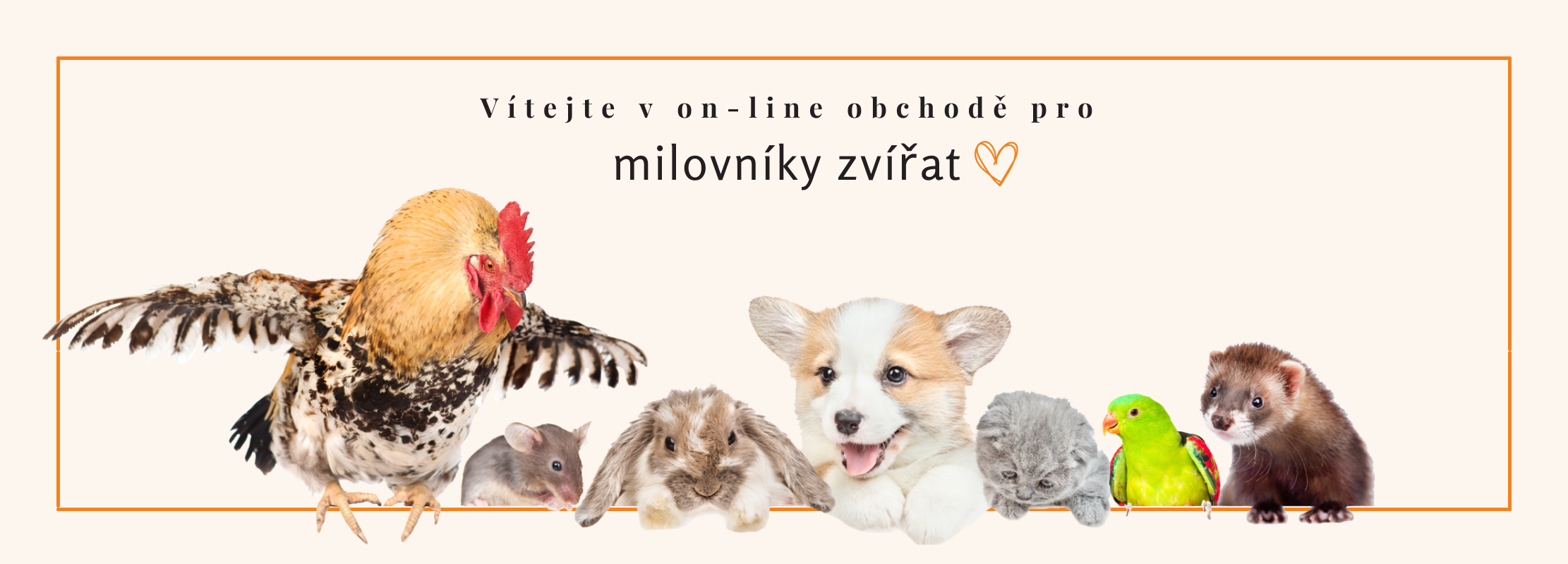 Online obchod pro milovníky zvířat