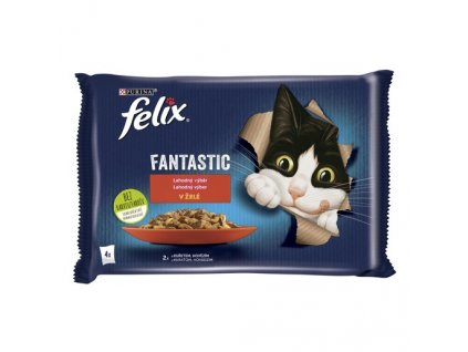 FELIX Fantastic multipack s hovězím a kuřetem v želé 4x85g kapsičky