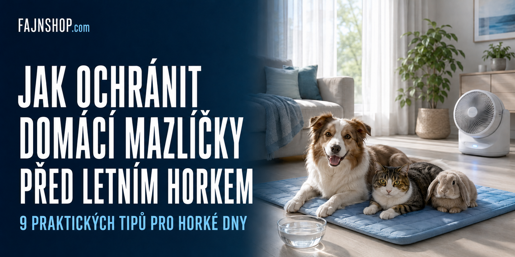 Jak ochránit domácí mazlíčky před letním horkem: 9 praktických tipů