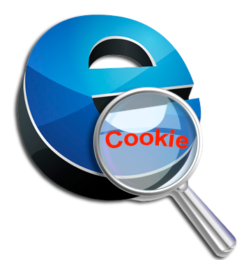 5 / POUŽÍVÁNÍ SOUBORU COOKIES