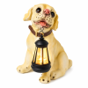 Solární LED zahradní dekorace – pes s lucernou, 25 cm