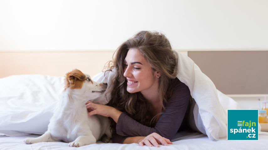 Jak na čisté a zdravé lůžko, když s vámi spí domácí mazlíček
