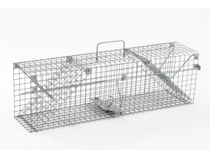 Past typ 1 k odchytu potkana