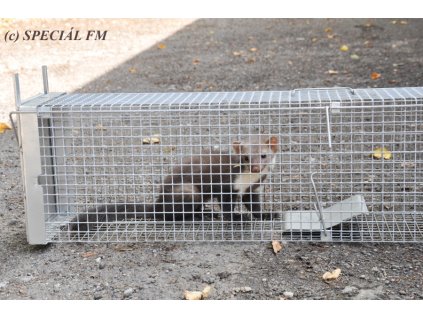 Past typ 3 k odchytu kuny tchoře mladé lišky 1