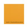 PACIFIC 21 (1)