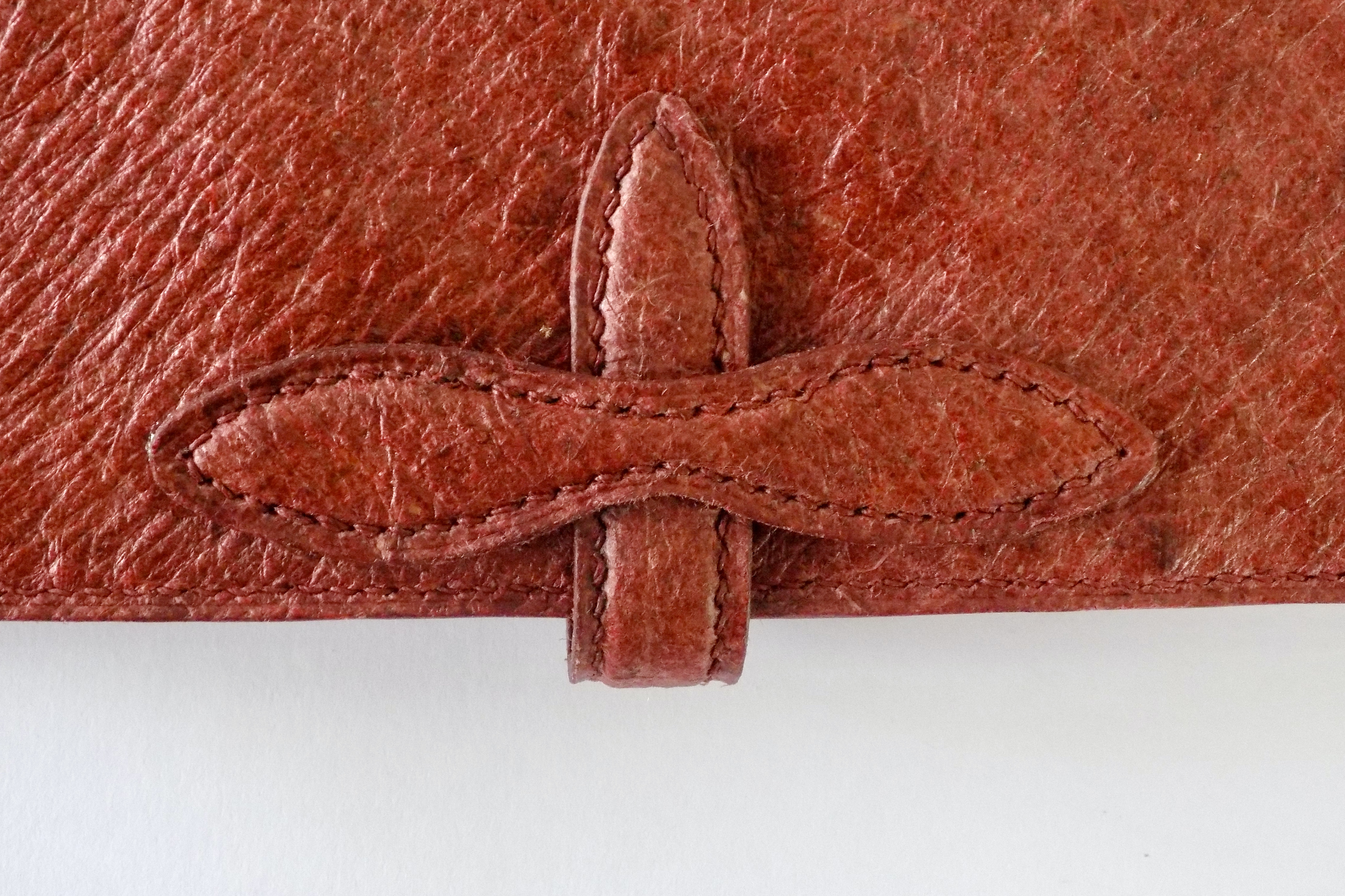 Ethos místo epidermis? Kritický pohled na alternativy kůže