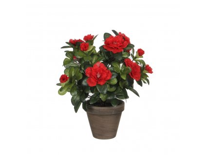 2863138 1 dekorativna umela rastlina v kvetinaci azalka mica decorations cervena 11 5 x 27 x 20 cm