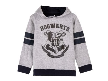Dětská mikina s kapucí Harry Potter Hogwarts Šedá (Velikost 7 let)