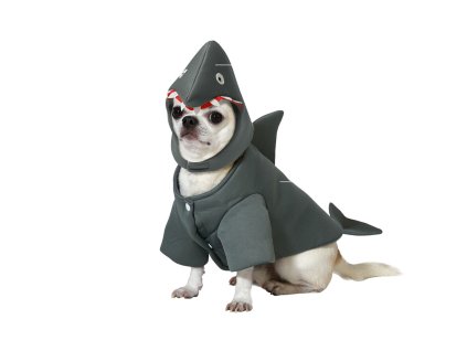 S1136180 1728890453 no background2