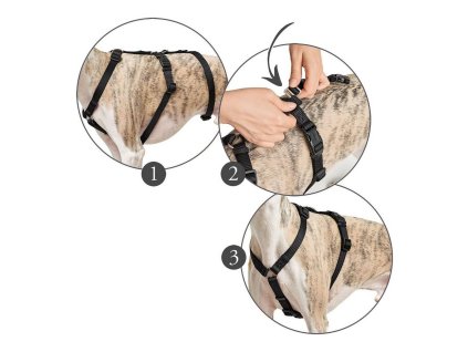 4016739662019 00 WBG 11