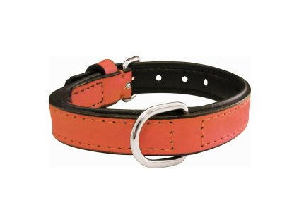 8432288111093 00 WBG2