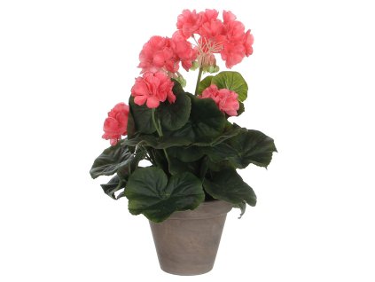 8712799690738 S7901873 P01