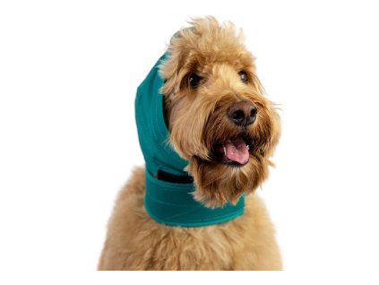 0856328007296 00 WBG4