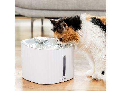 8435527824778 V0103692 000 MKT3