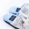 Dětské Pantofle Frozen FF001 Fialová 30-31 (Veľkosť nohy 30-31)