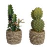 3009893 okrasna rastlina edm 808447 kaktus 28 cm plast 1 ks
