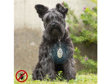 3342111 ultrazvukovy nabijatelny pristroj proti parazitom pre domacich milacikov petrep innovagoods