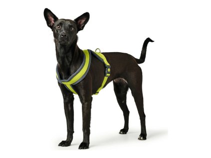 4016739680594 001 WBG4