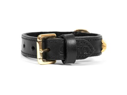 8432288101919 00 WBG4