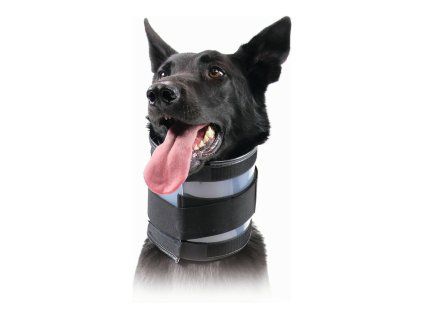 0742061547185 00 WBG4