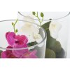 3271876 1 umela okrasna rastlina home esprit orchidea pvc sklo 15 x 15 x 20 cm 2 kusov