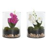 3271876 umela okrasna rastlina home esprit orchidea pvc sklo 15 x 15 x 20 cm 2 kusov