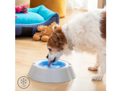Chladiaca miska na vodu pre psov a iné domáce zvieratá Freshty InnovaGoods