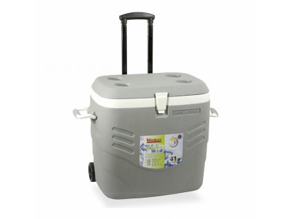 Prenosná pevná chladnička s kolieskami Hidalgo Premium Sivá (41 l)