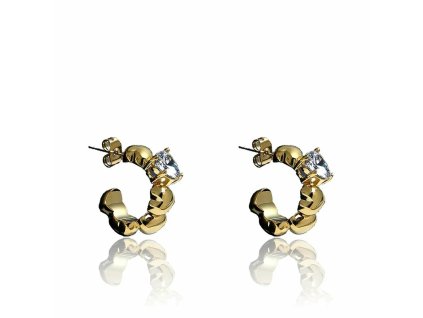 Dámske náušnice Chiara Ferragni J19AVT14 Nerezová oceľ Zlatá (2 cm)