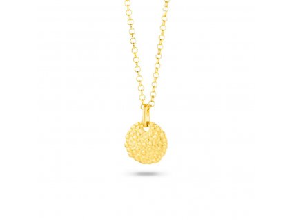 Dámsky náhrdelník Radiant RY000028 Nerezová oceľ Zlatá (50 cm)