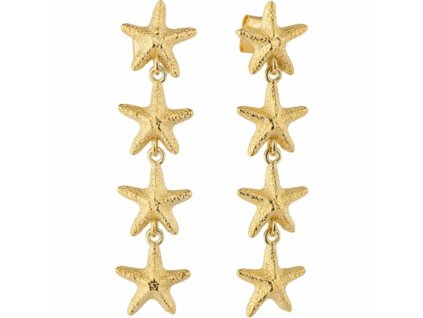 Náušnice Radiant RY000136 Nerezová oceľ Zlatá (4 cm)