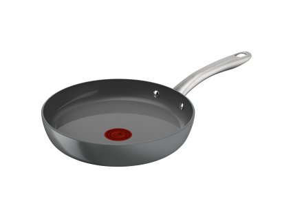 Panvica Tefal C4240453 Sivá Aluminium Ø 24 cm