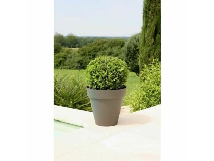 3580794160762 S7152073 P02