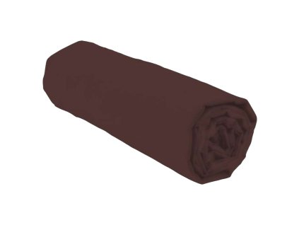 S71008130 1731503500 remove background0