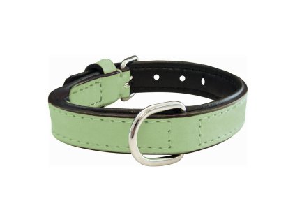 8432288110997 00 WBG2