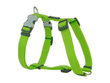 9330725045620 00 WBG3