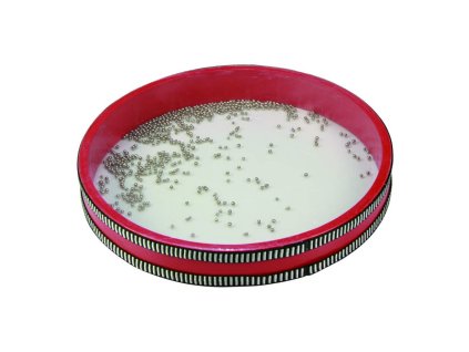 8411865072149 00 WBG3