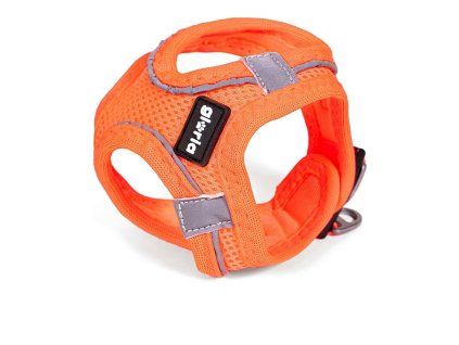 8432288113592 00 WBG 13