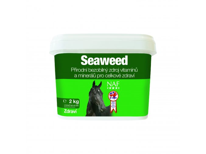 Seaweed - Mořské řasy